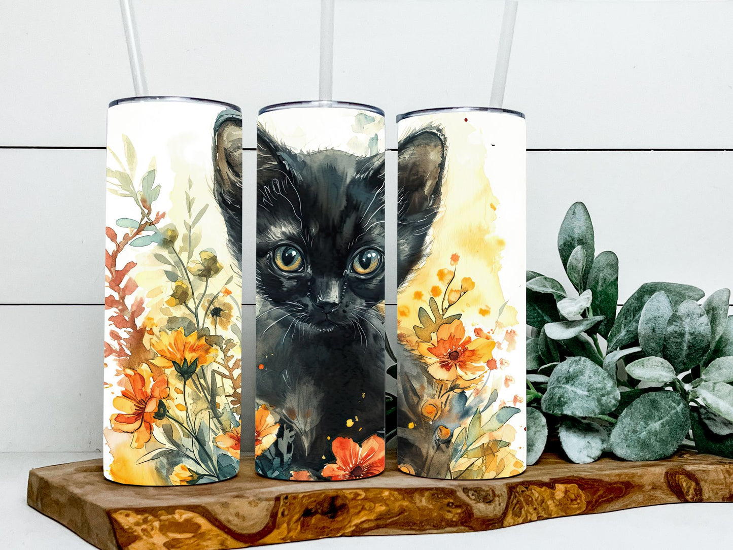 Black Cat