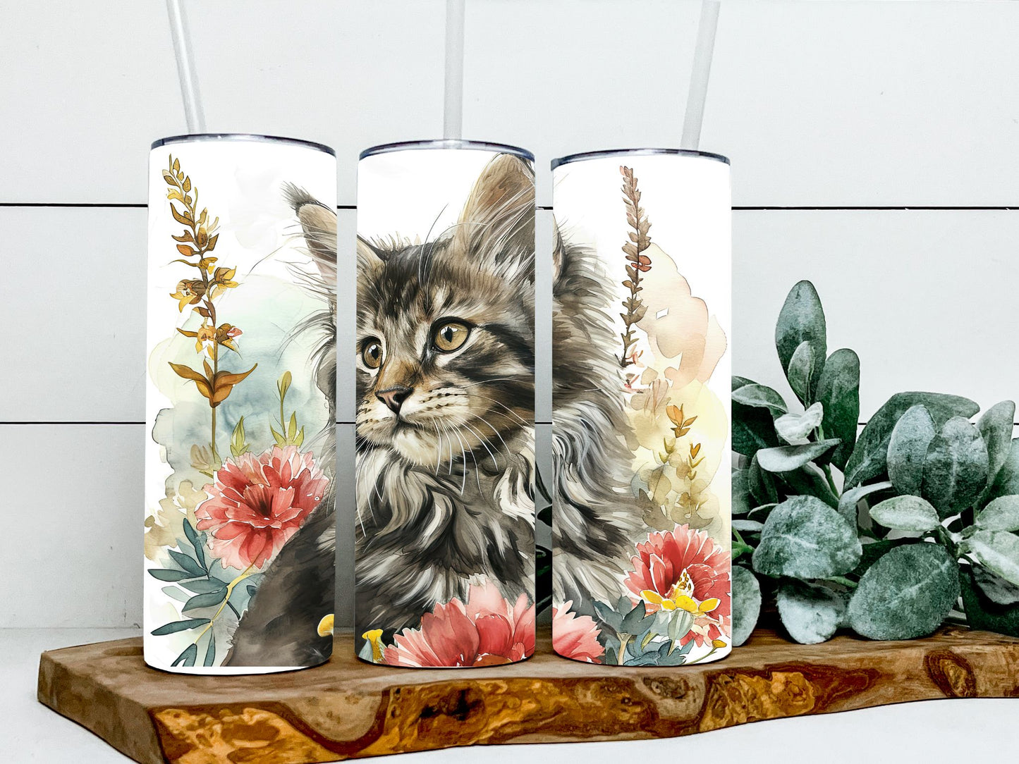 Maine Coon Cats
