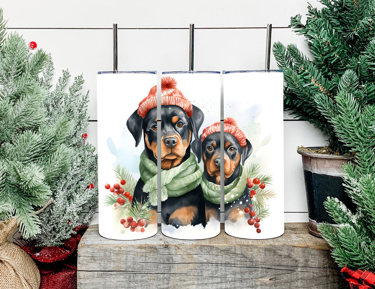 Christmas Dog Breeds