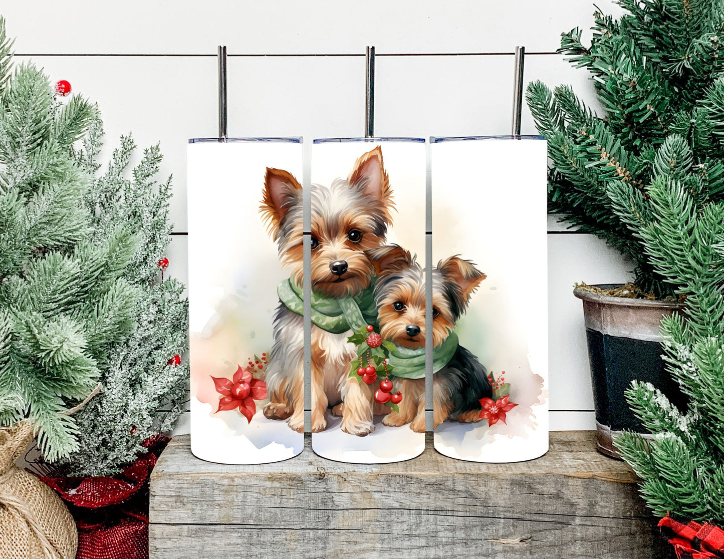 Christmas Dog Breeds