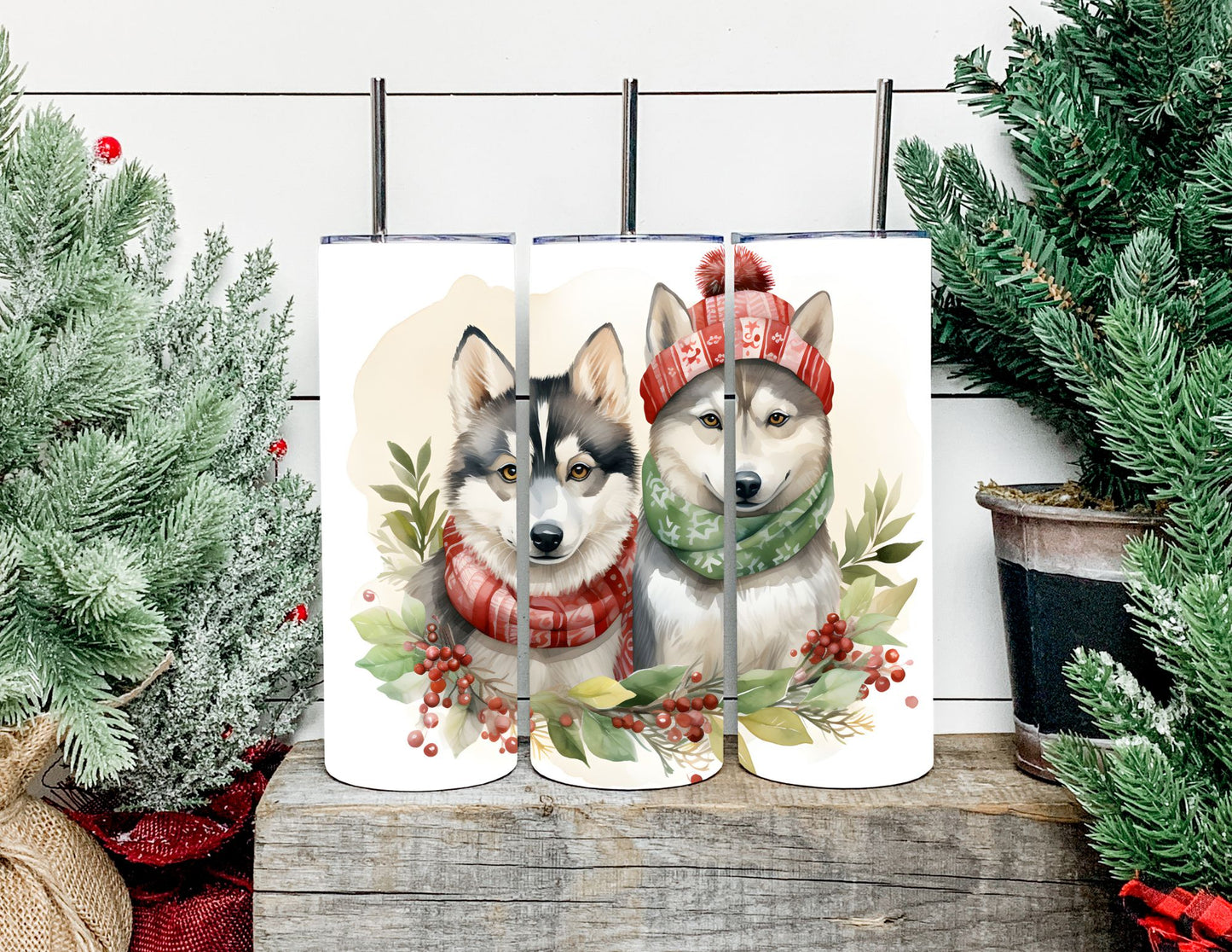 Christmas Dog Breeds
