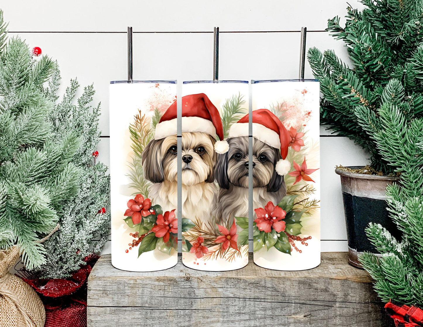 Christmas Dog Breeds
