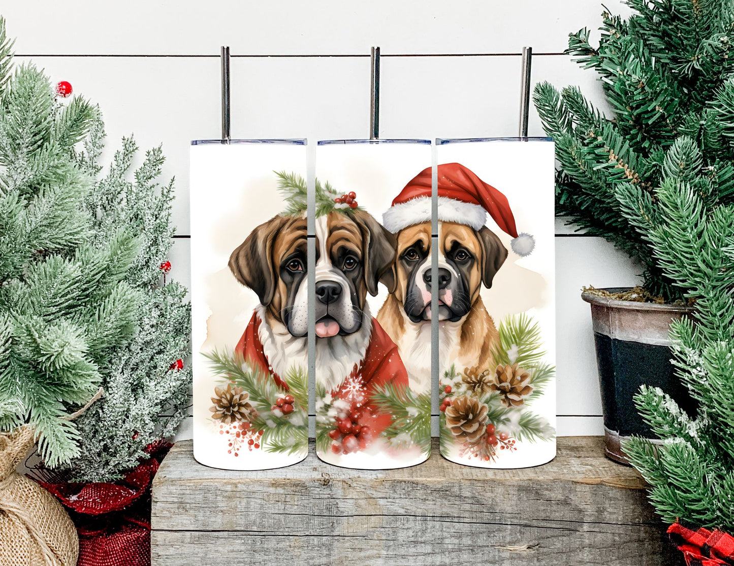 Christmas Dog Breeds
