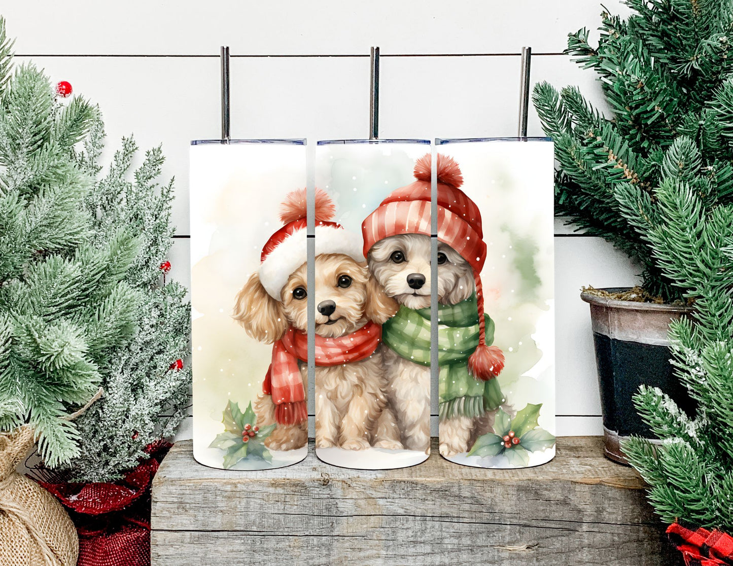 Christmas Dog Breeds