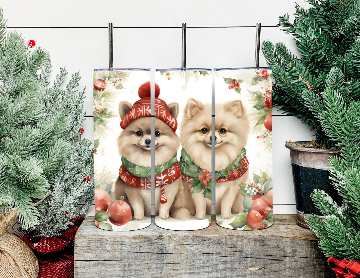Christmas Dog Breeds