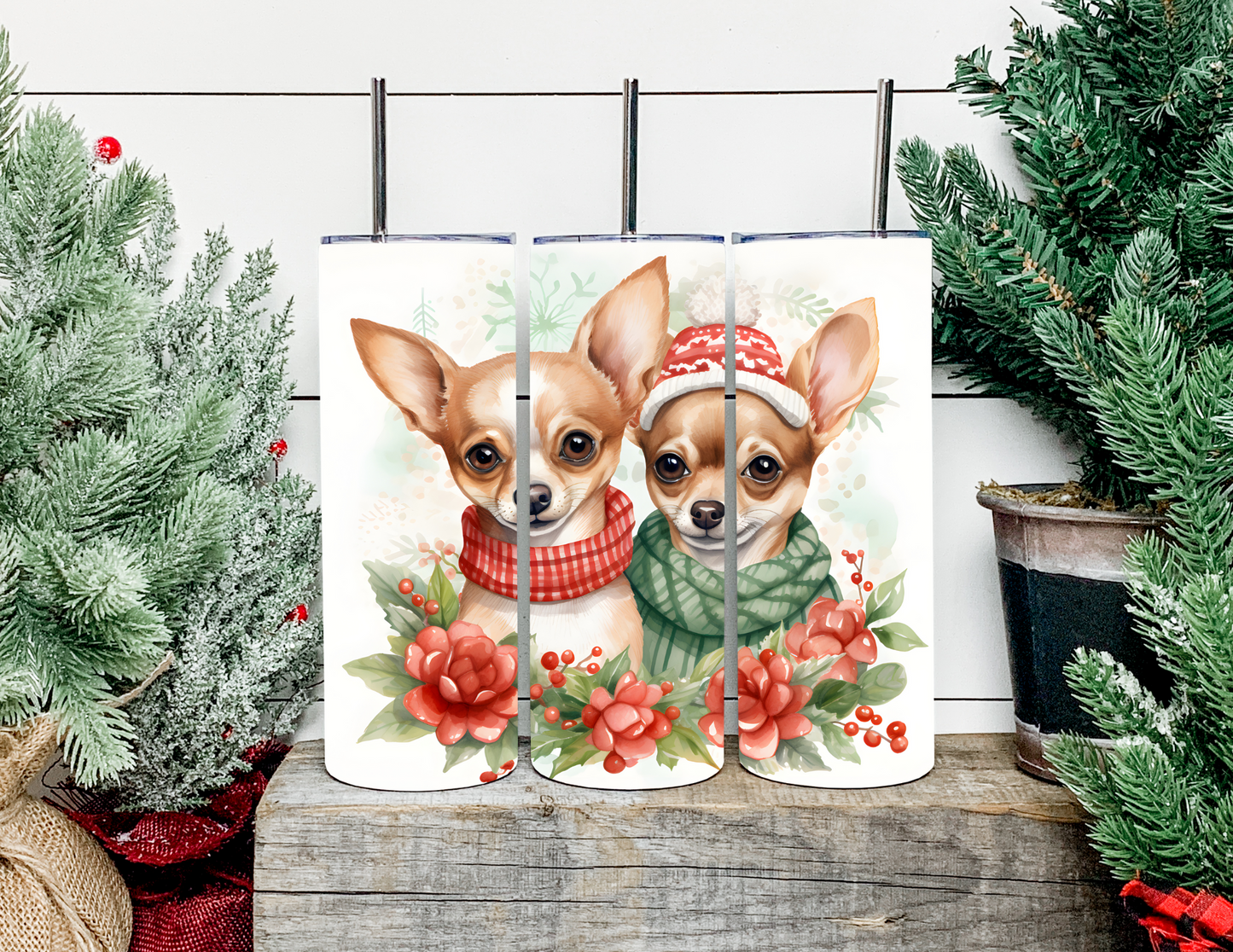 Christmas Dog Breeds
