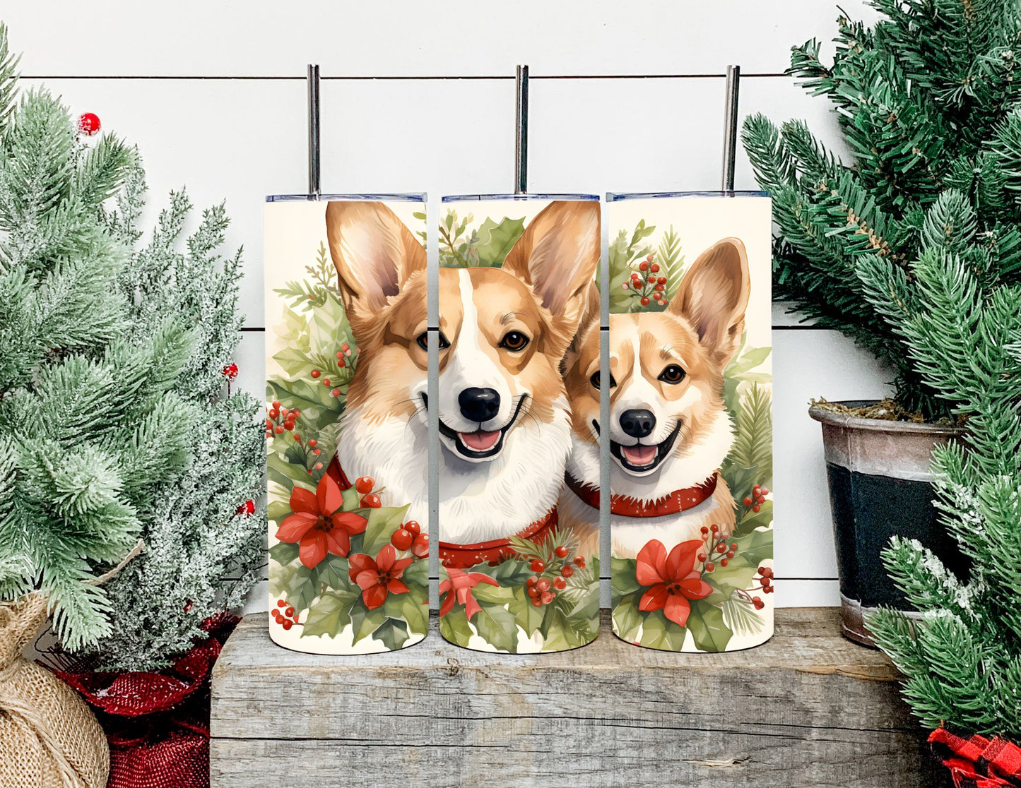 Christmas Dog Breeds