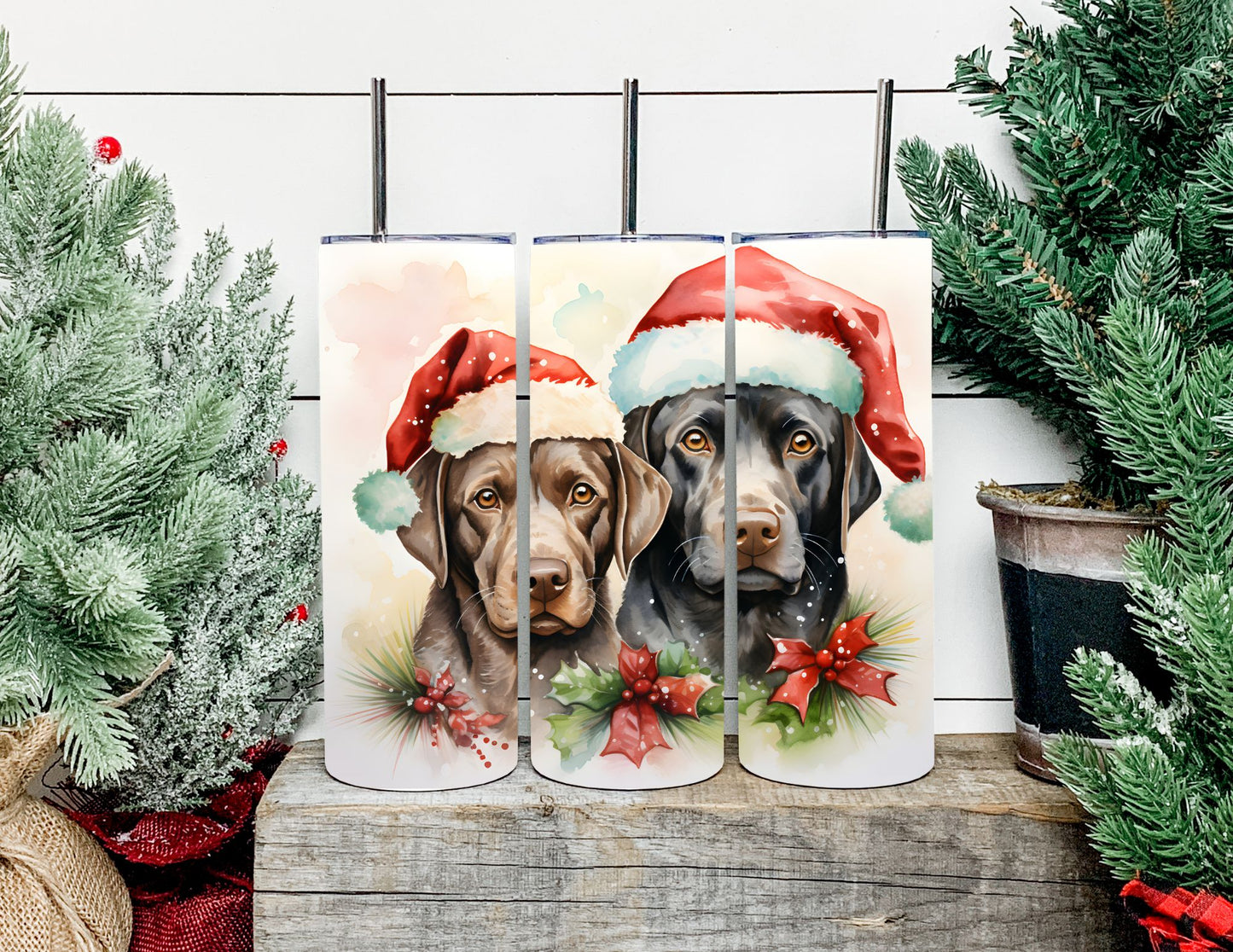 Christmas Dog Breeds