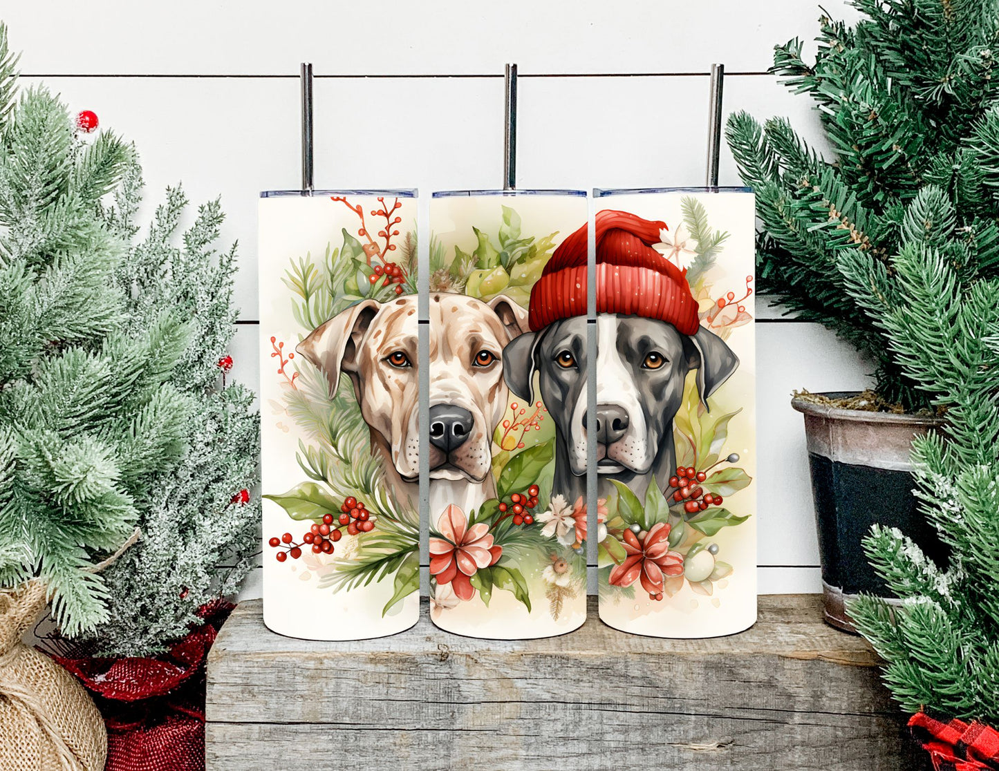 Christmas Dog Breeds