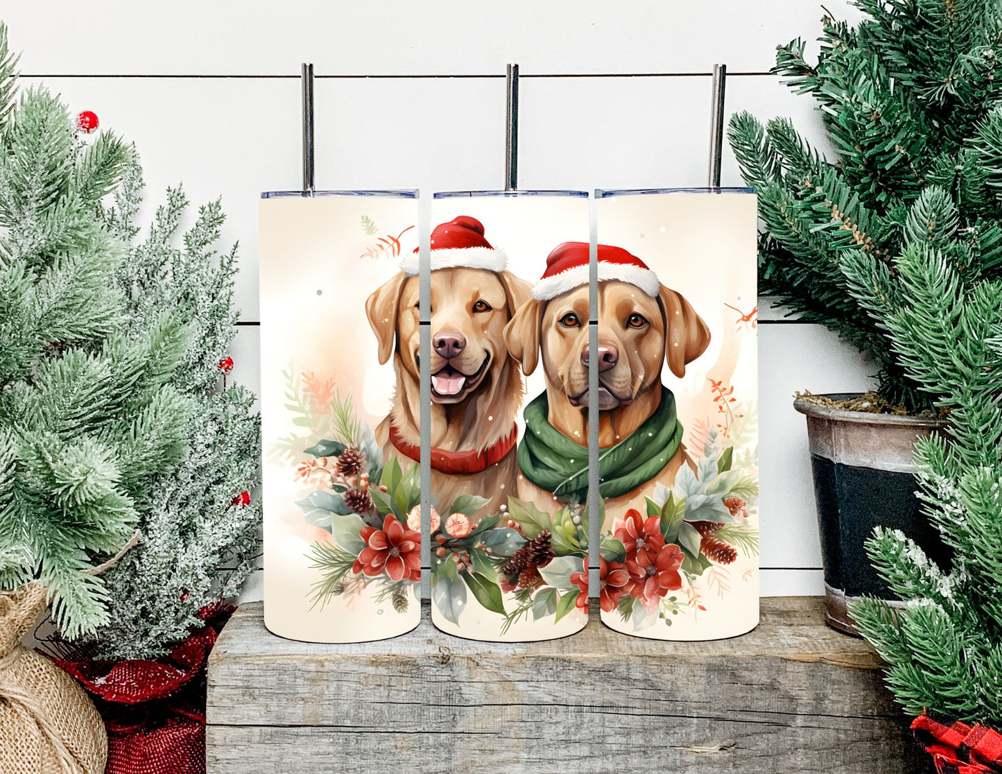 Christmas Dog Breeds