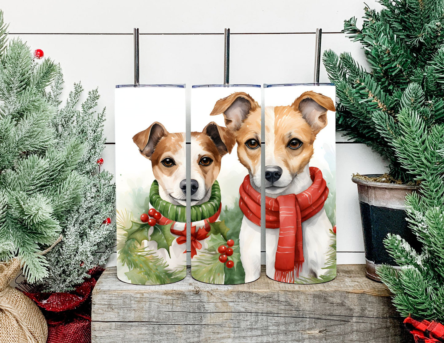 Christmas Dog Breeds