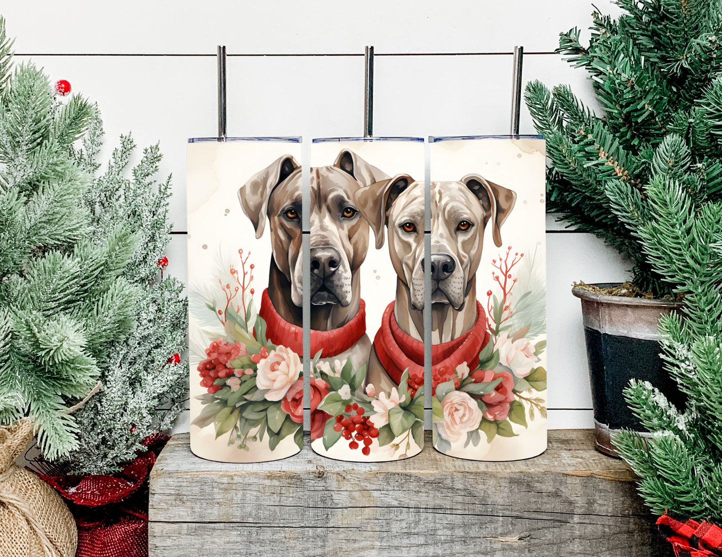 Christmas Dog Breeds