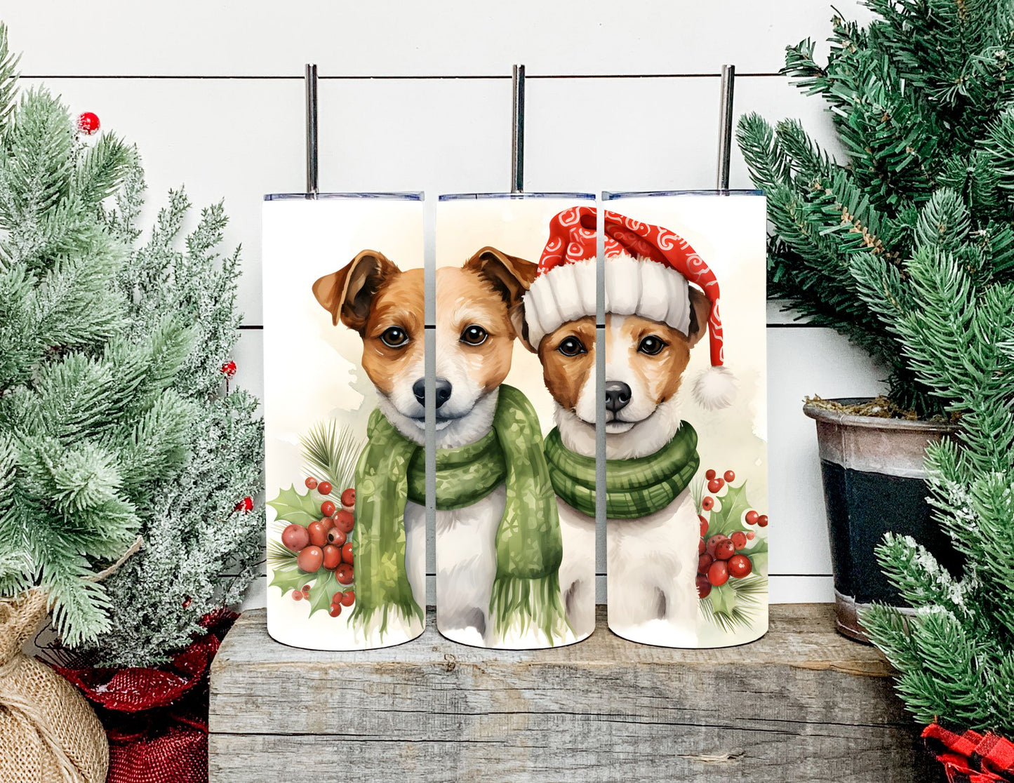 Christmas Dog Breeds