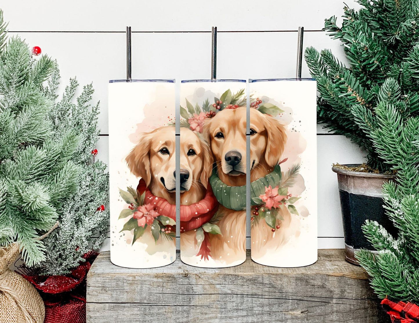 Christmas Dog Breeds