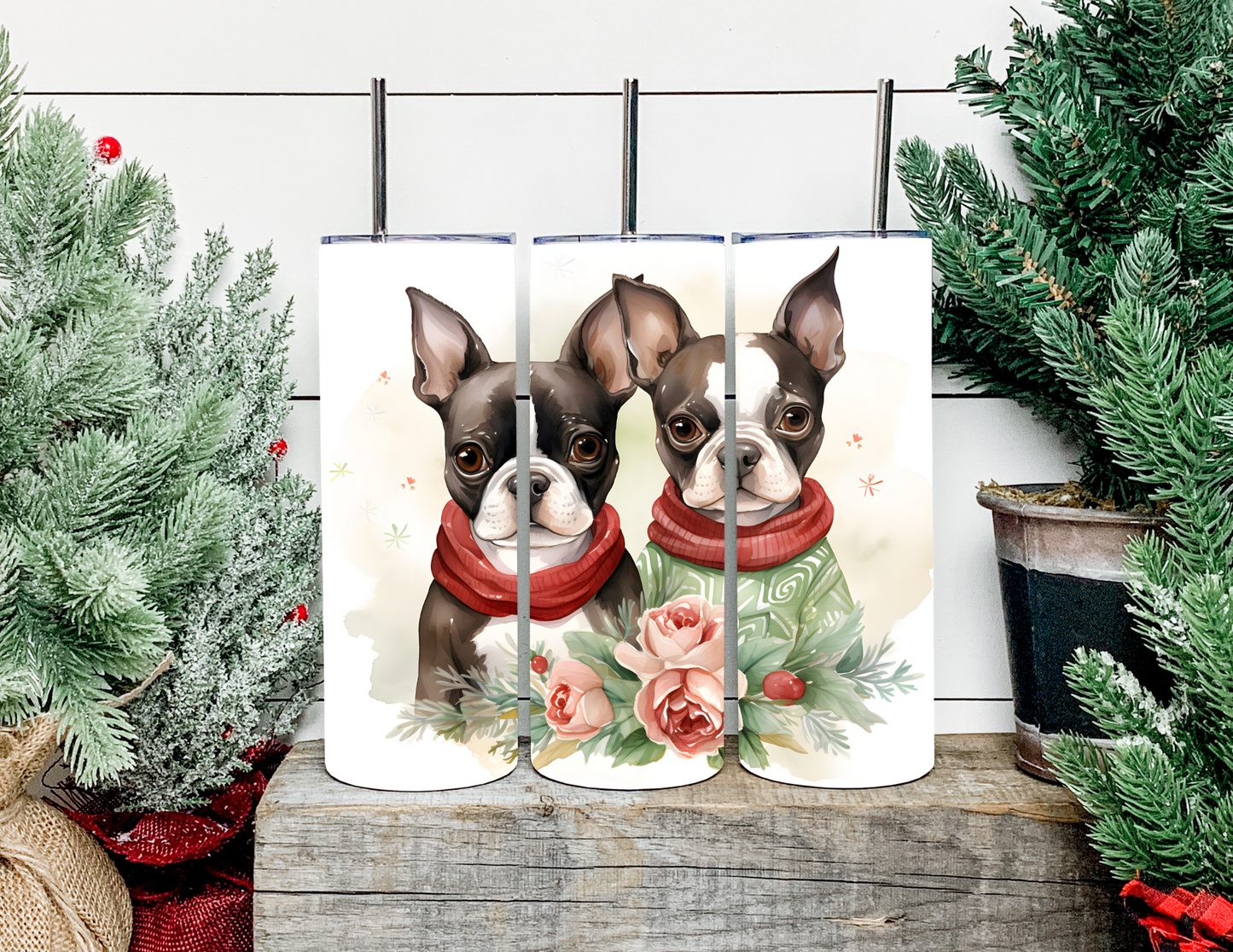Christmas Dog Breeds