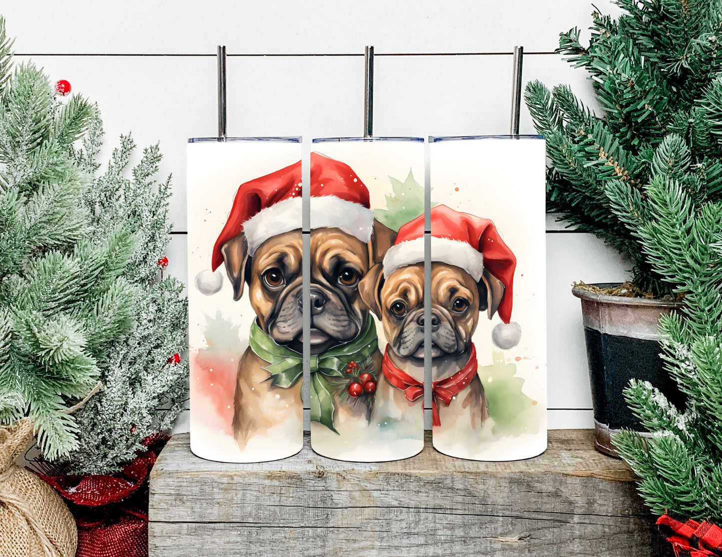 Christmas Dog Breeds
