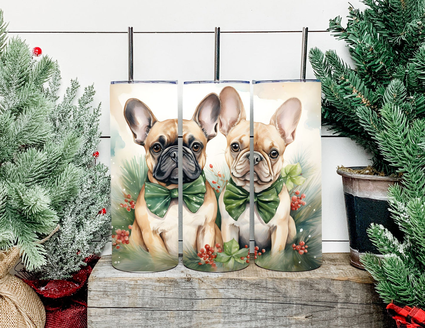 Christmas Dog Breeds