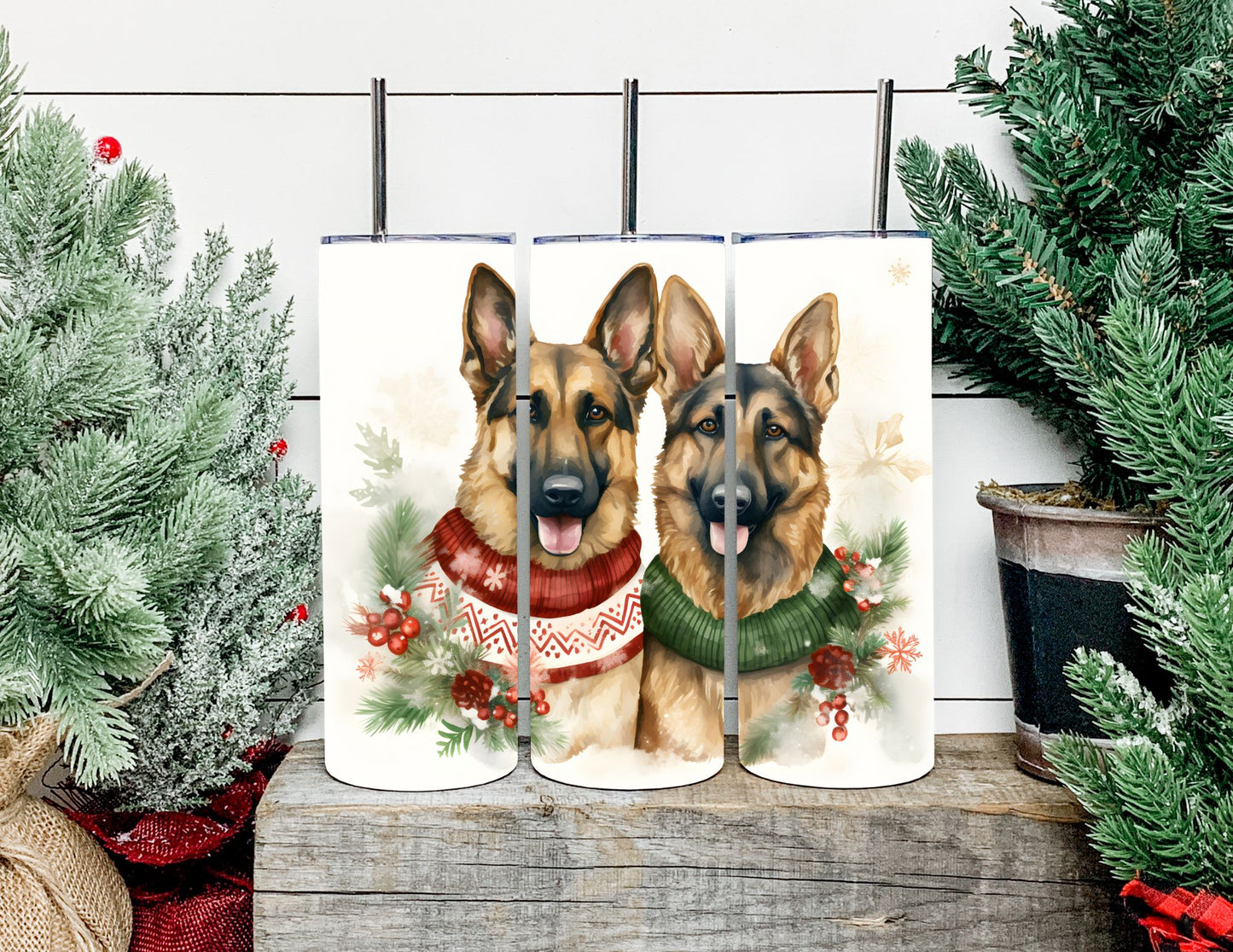 Christmas Dog Breeds