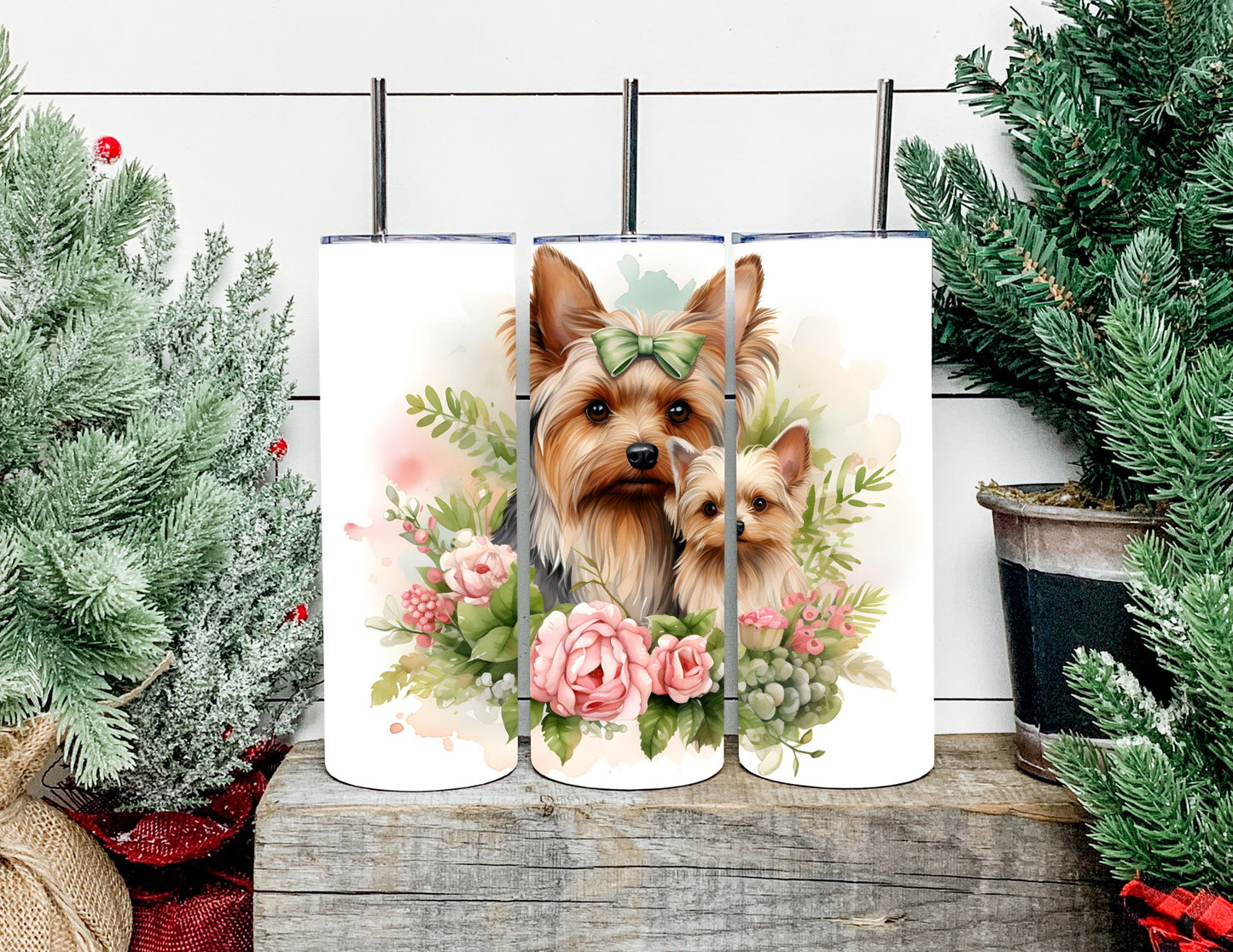 Christmas Dog Breeds
