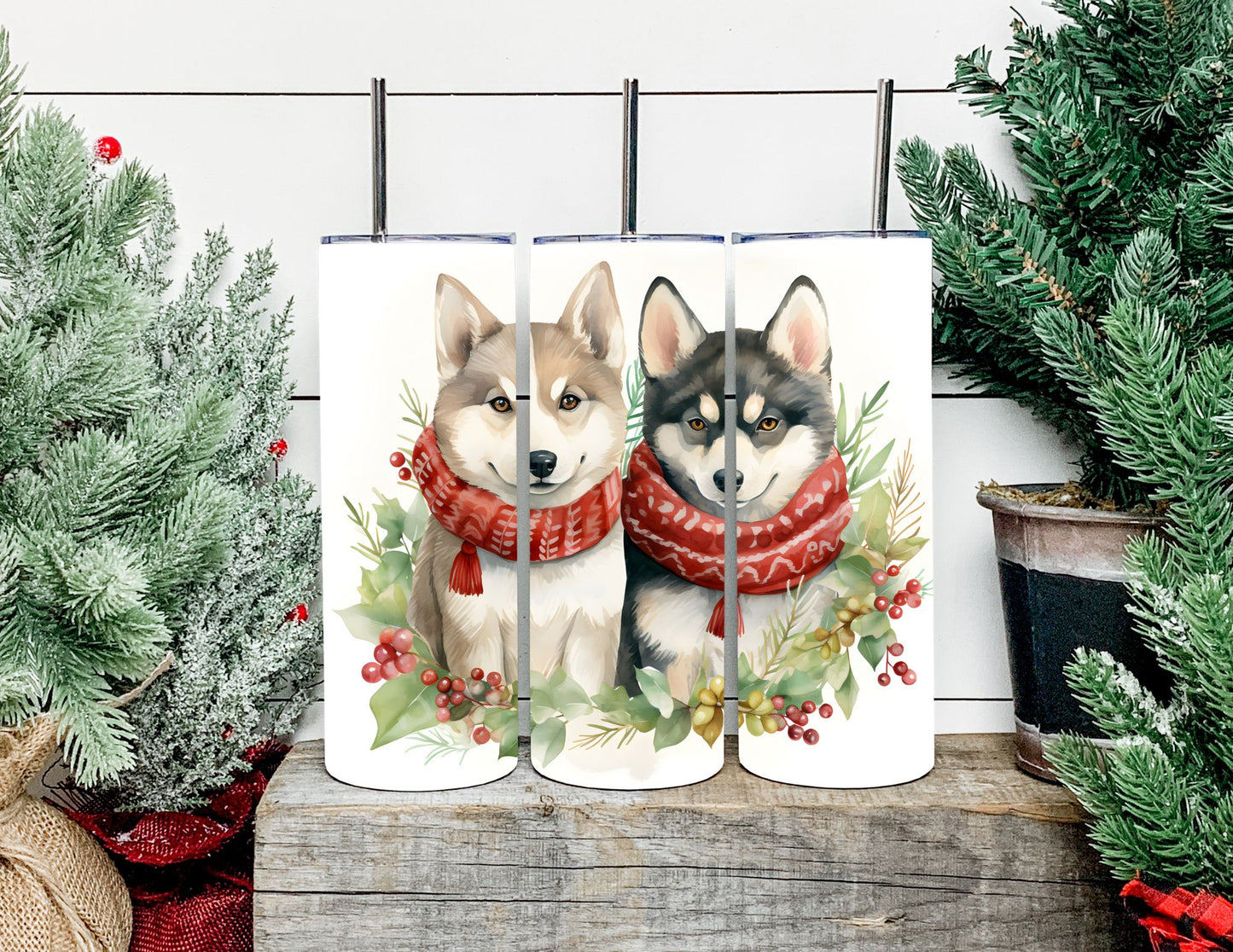 Christmas Dog Breeds