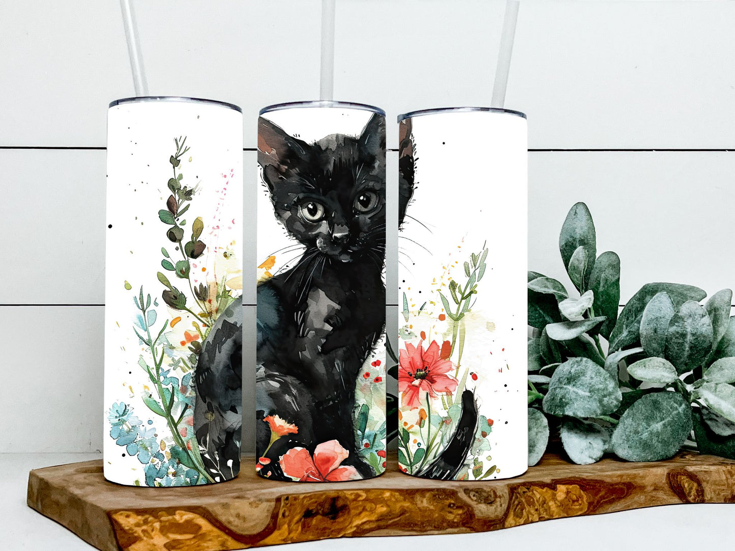 Black Cat