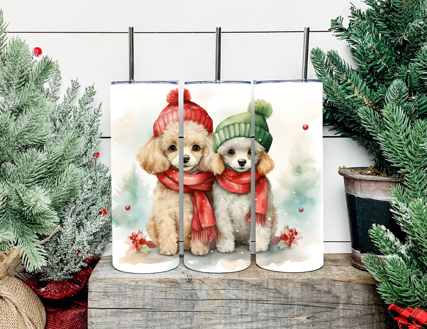 Christmas Dog Breeds