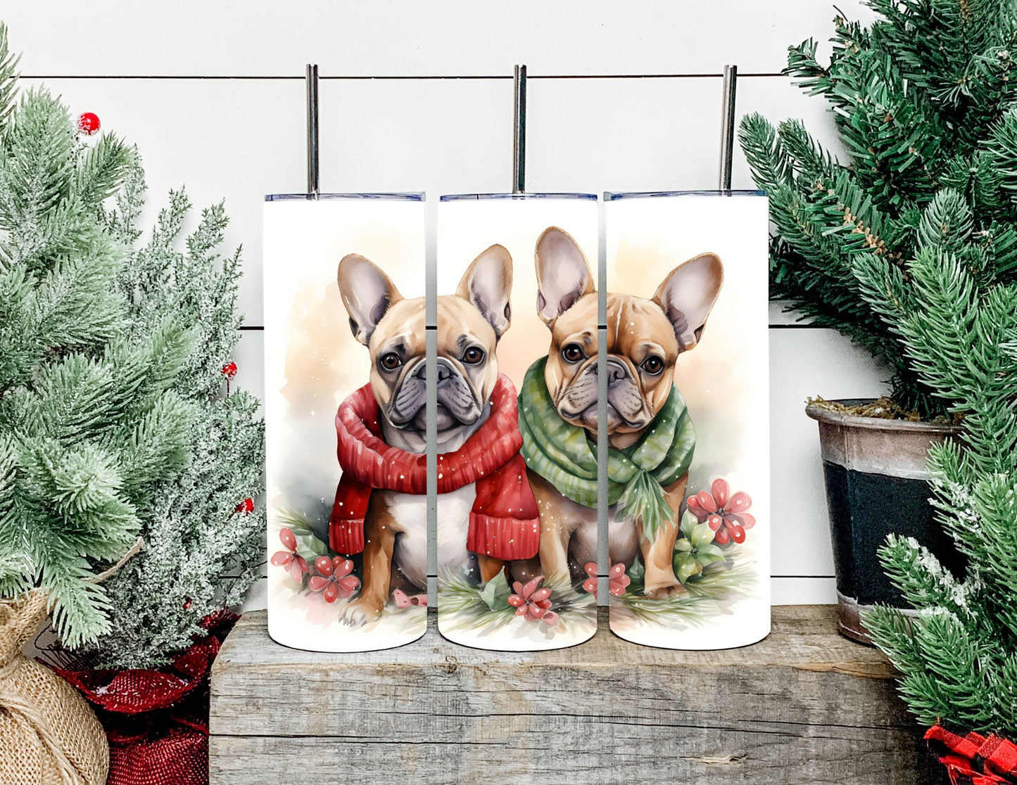 Christmas Dog Breeds