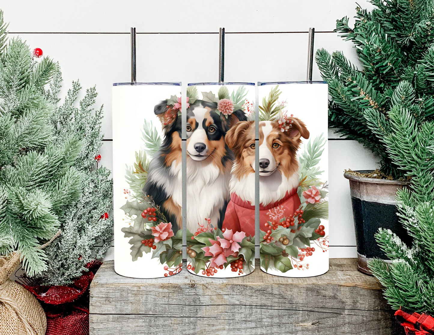 Christmas Dog Breeds