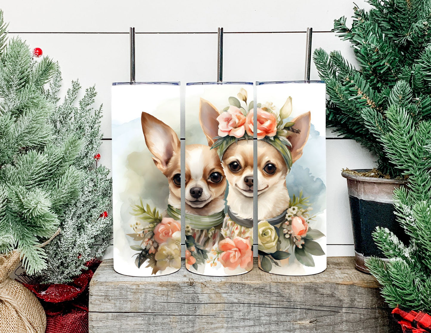 Christmas Dog Breeds