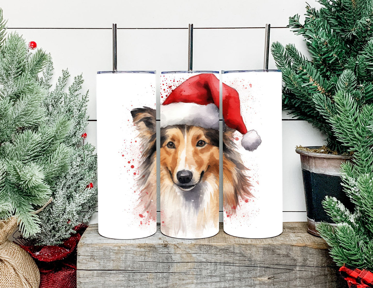Christmas Dog Breeds