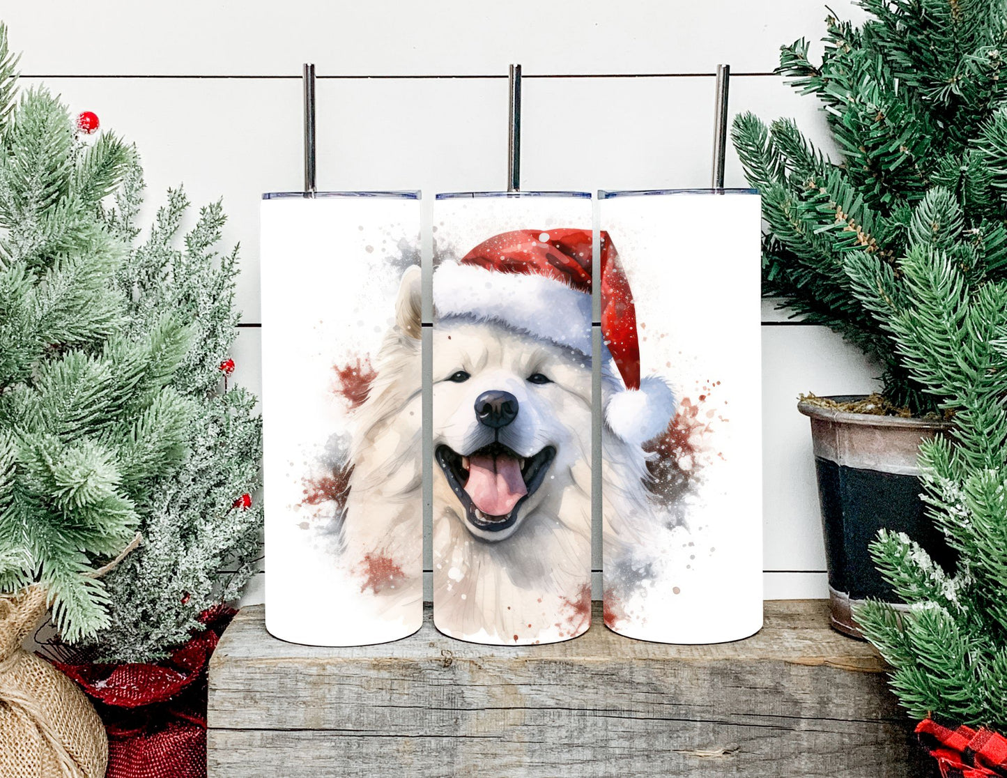 Christmas Dog Breeds