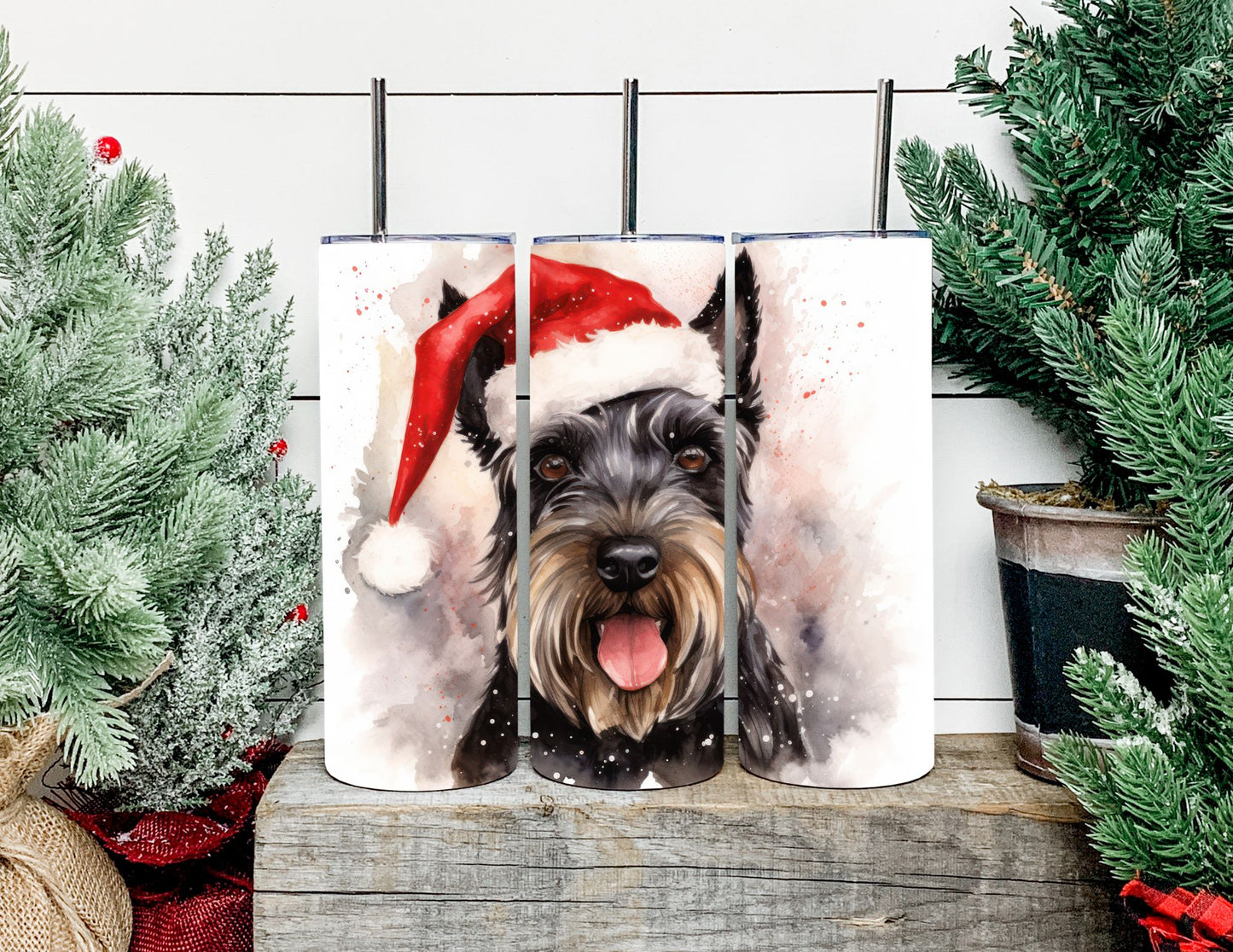 Christmas Dog Breeds