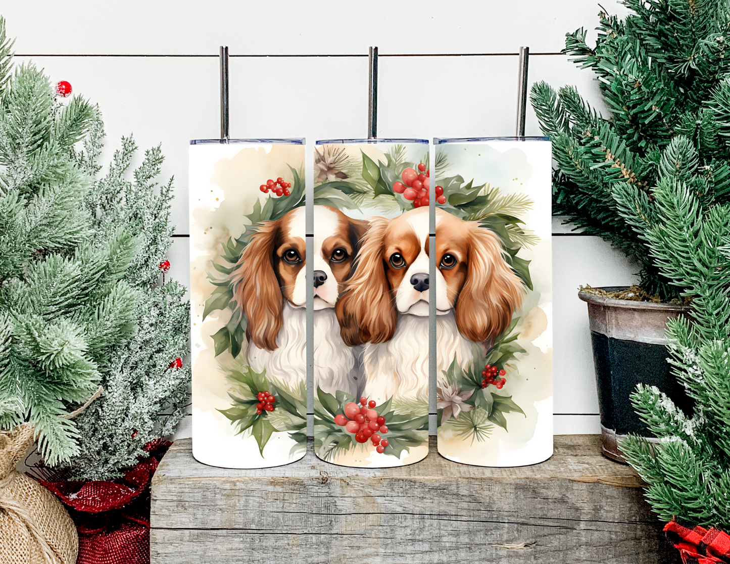 Christmas Dog Breeds