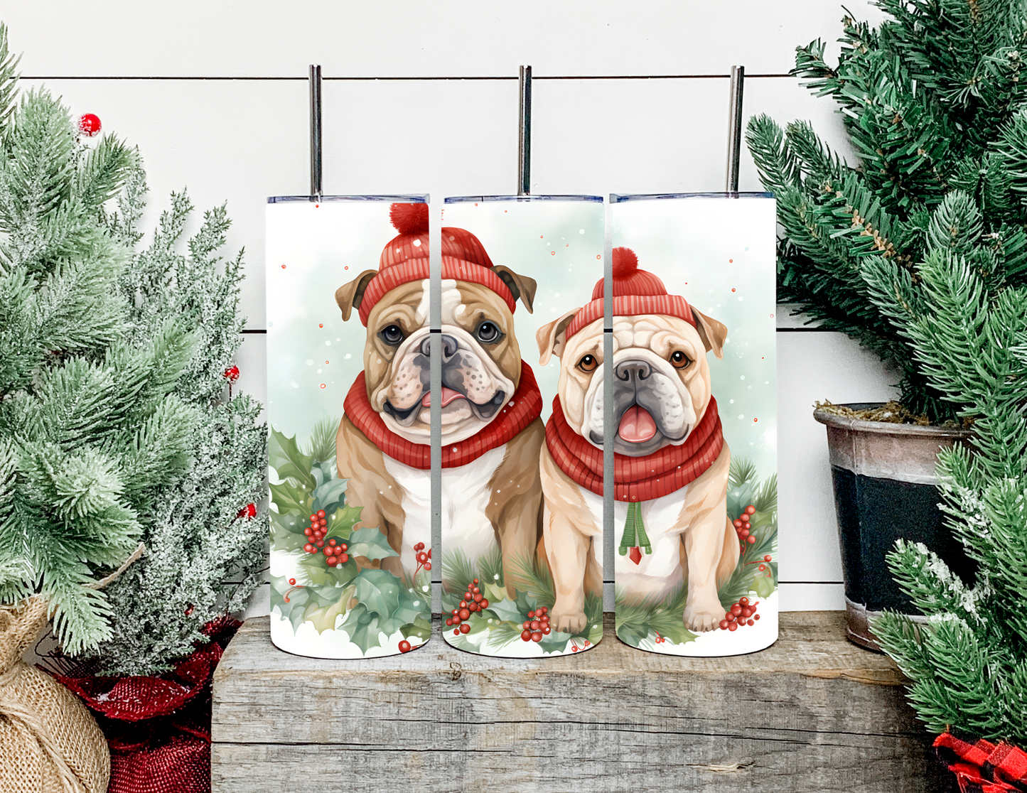 Christmas Dog Breeds