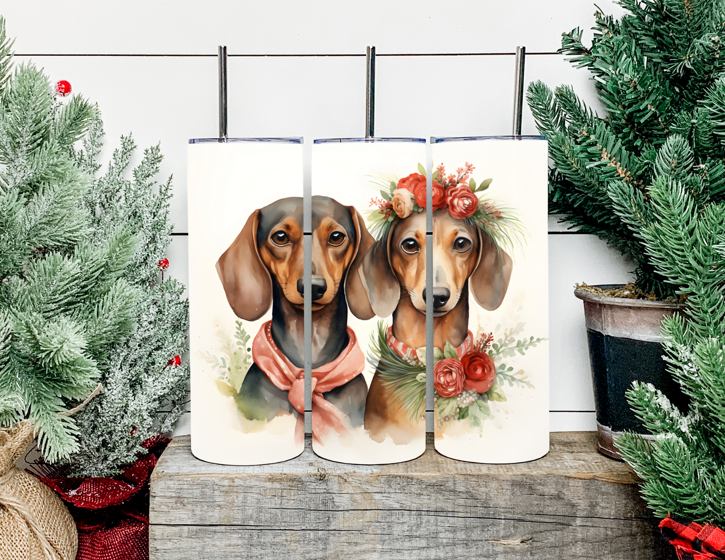 Christmas Dog Breeds