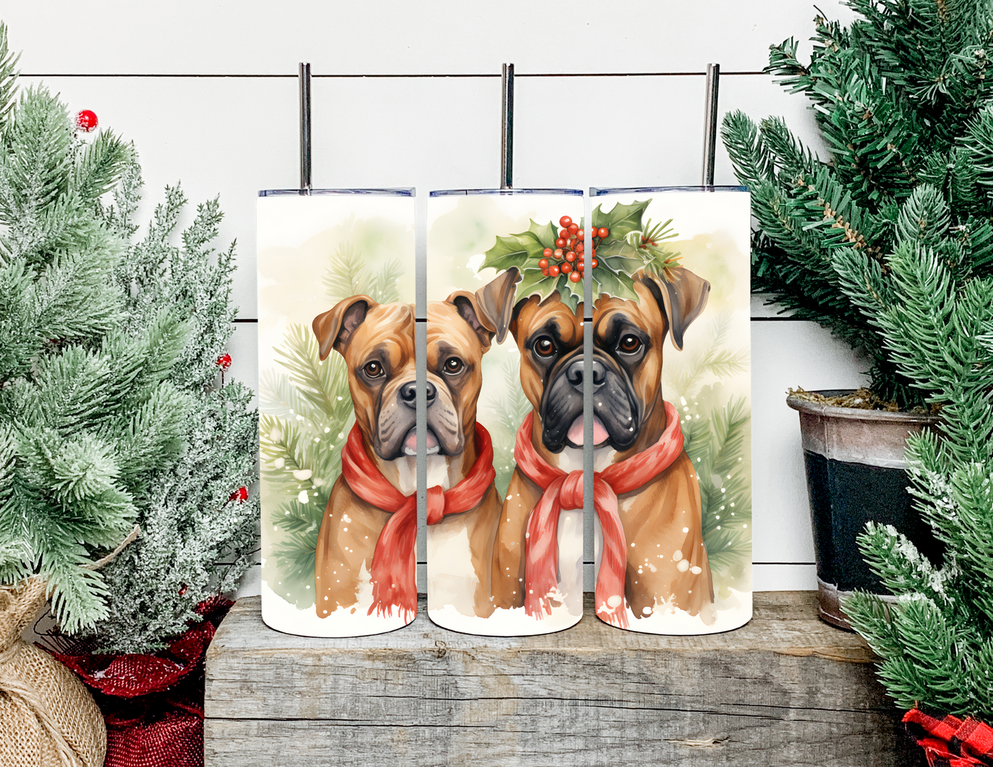 Christmas Dog Breeds