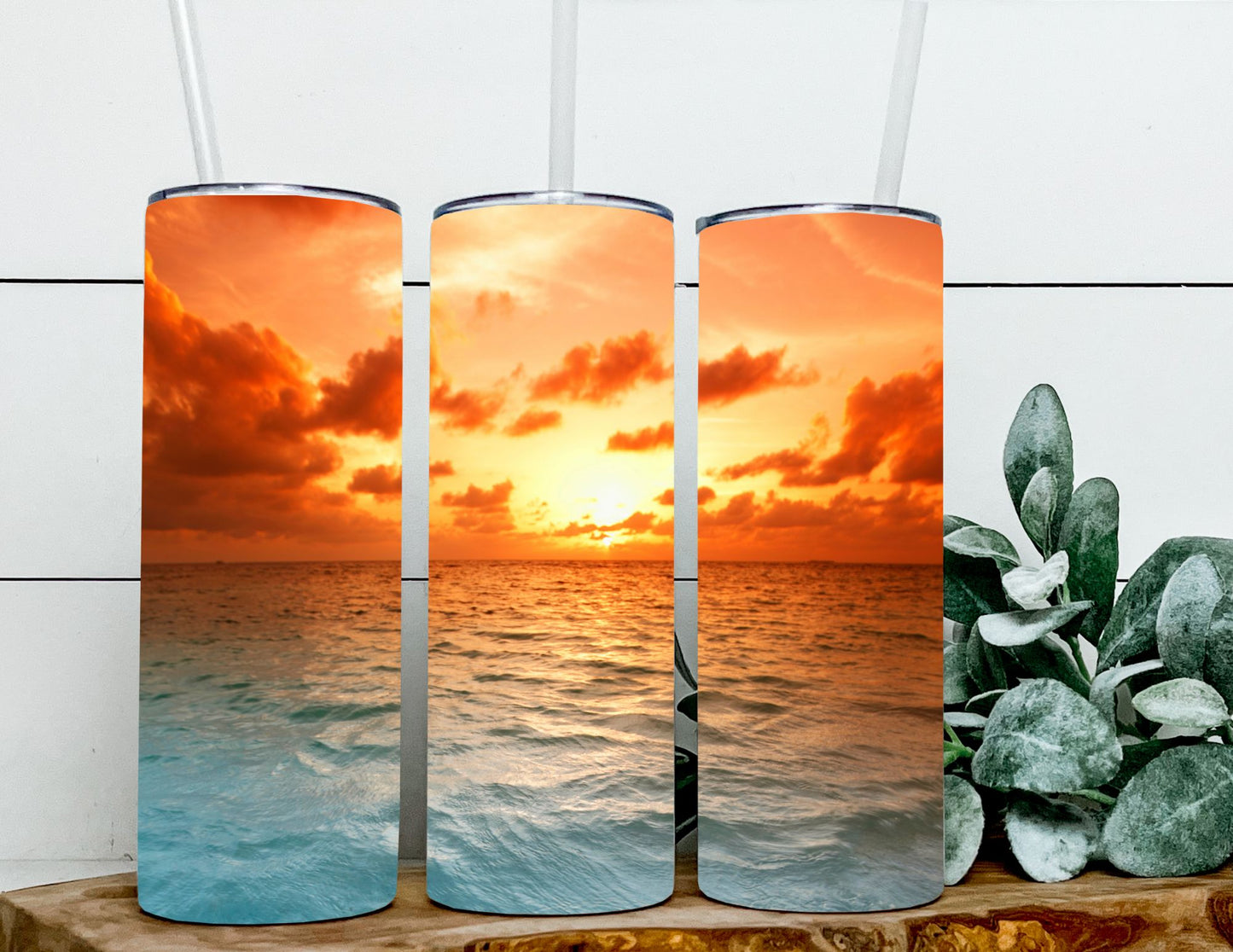 Ocean Sunset