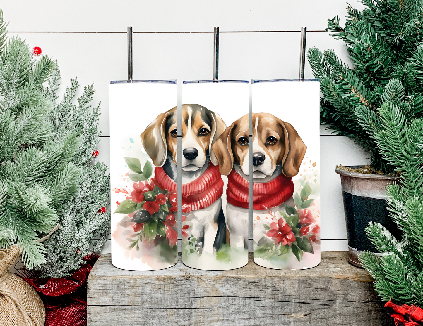 Christmas Dog Breeds