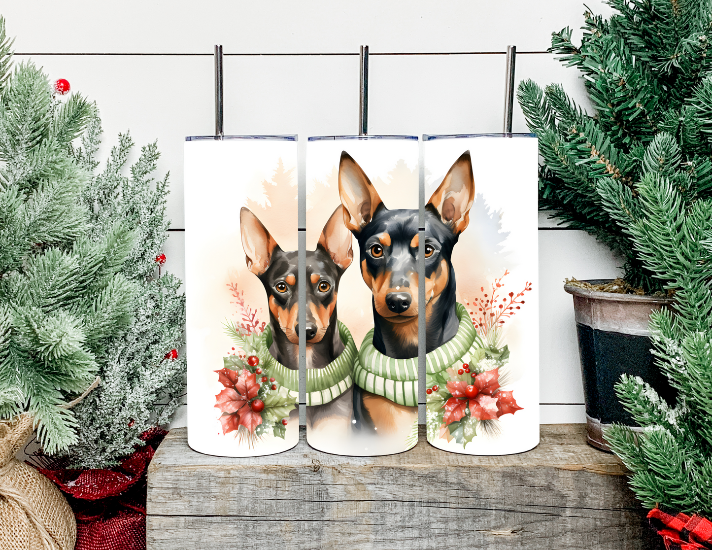Christmas Dog Breeds