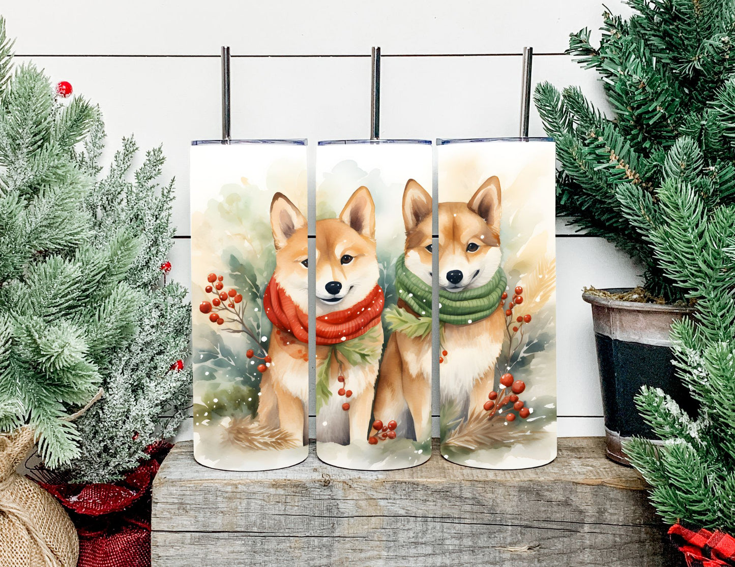 Christmas Dog Breeds