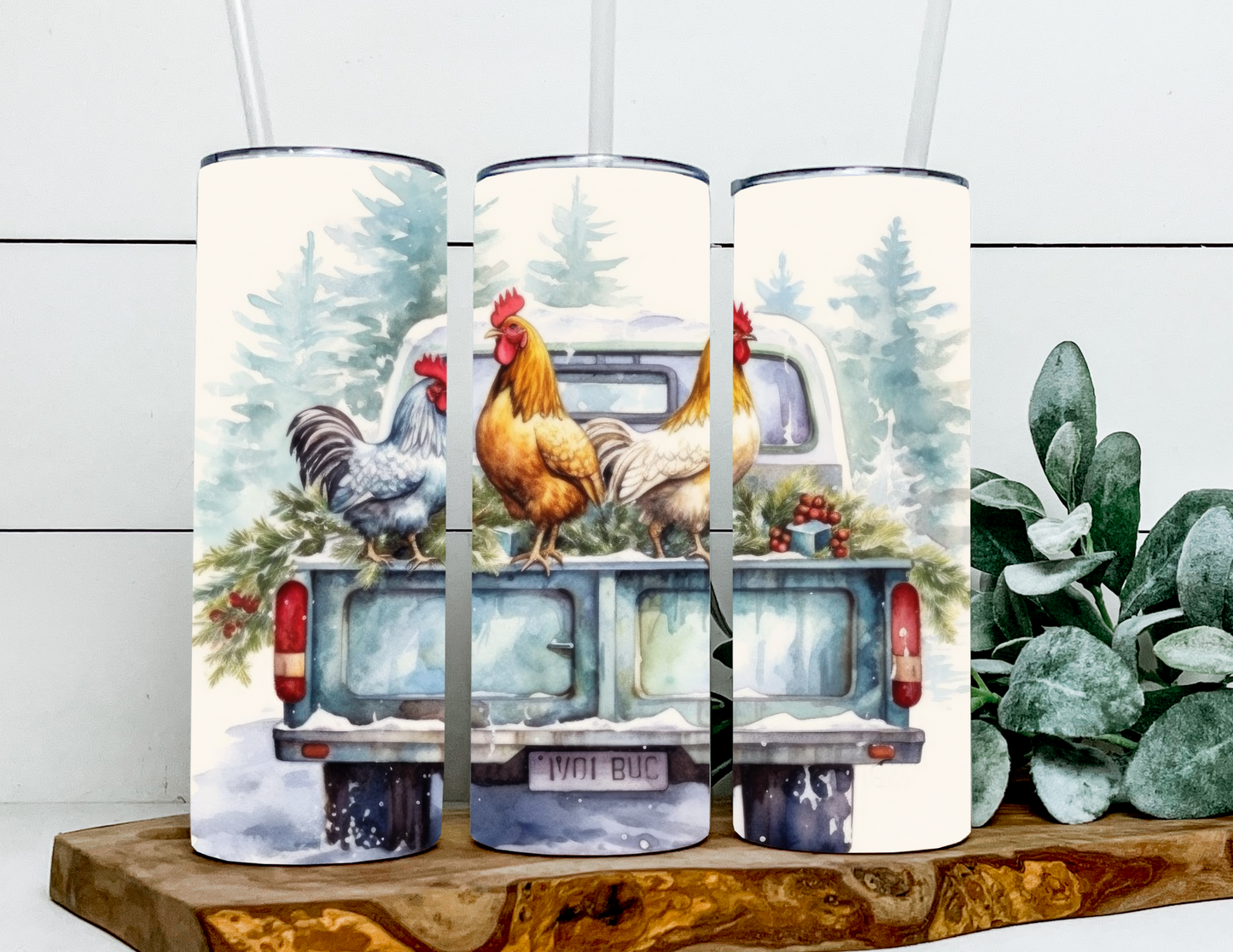 Dixie, Diddy & Dot the Winter Chickens