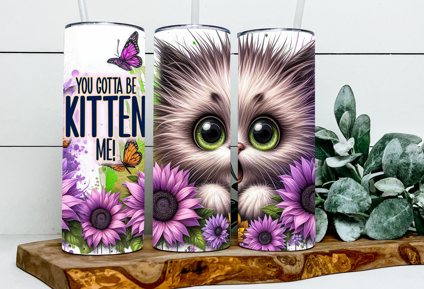 You Gotta Be Kitten Me
