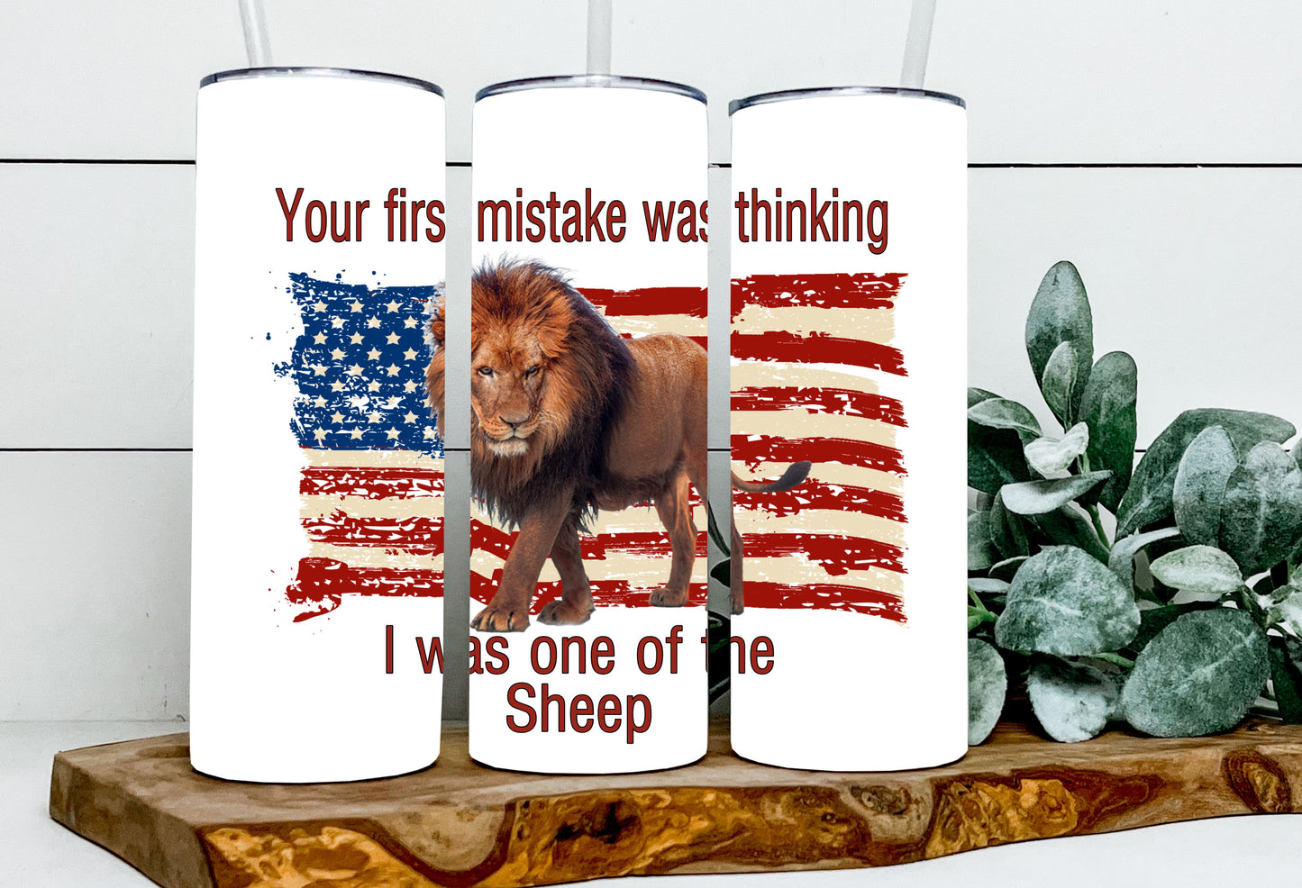 Your first mistake... Lion