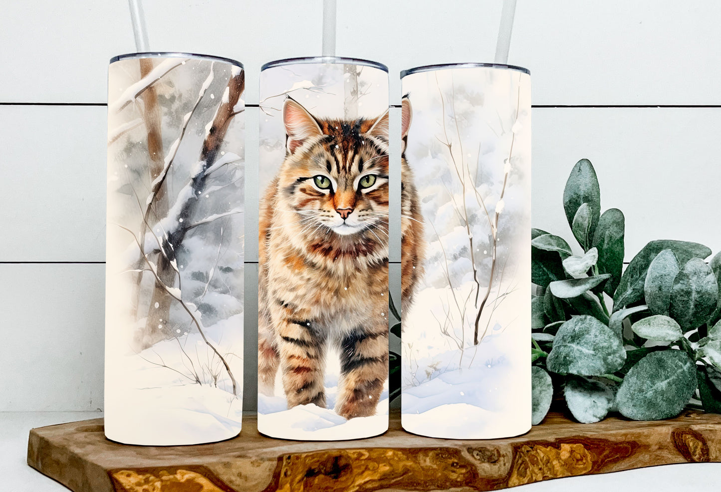 Hope the Wild Cat