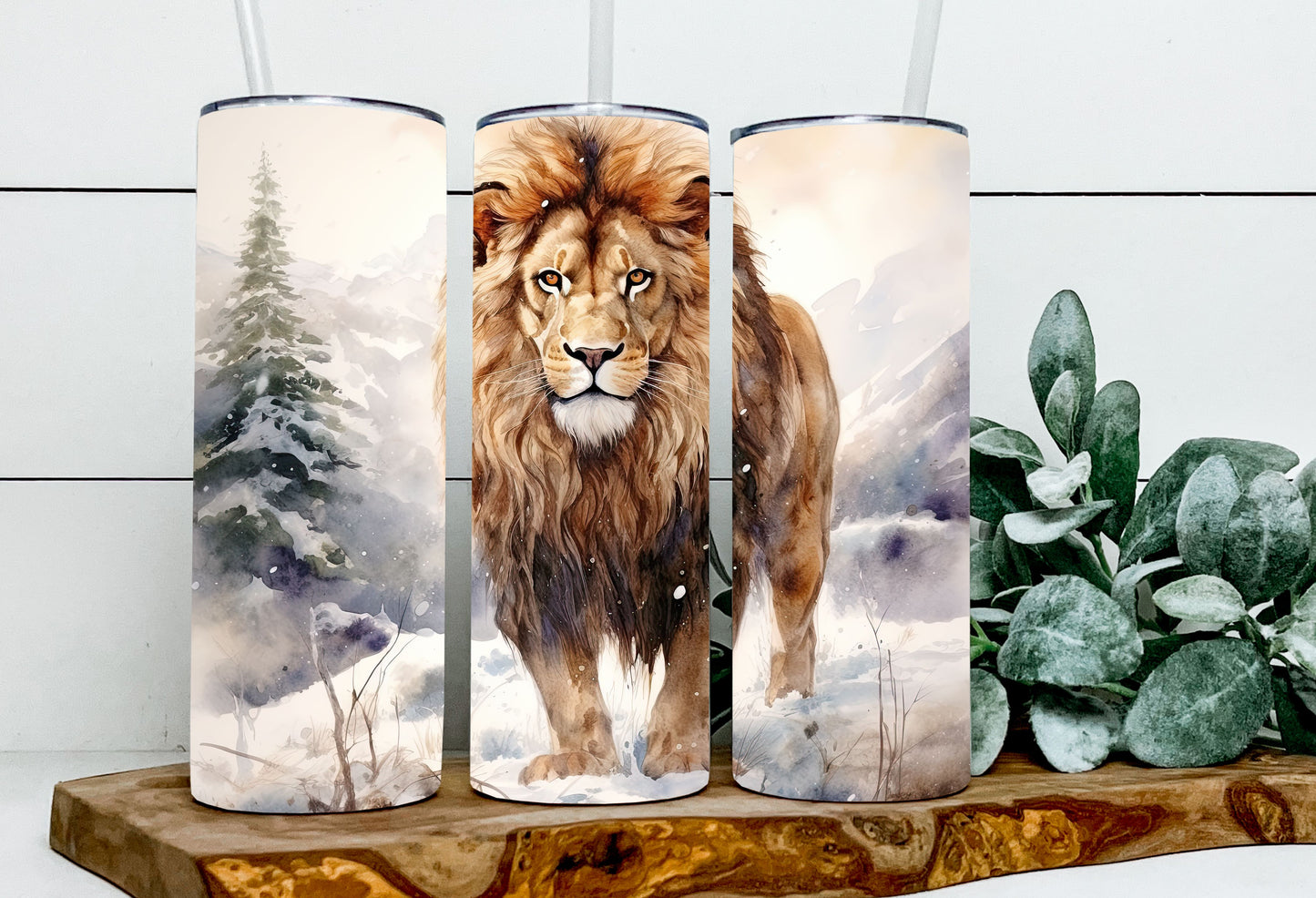 Mars the Lion
