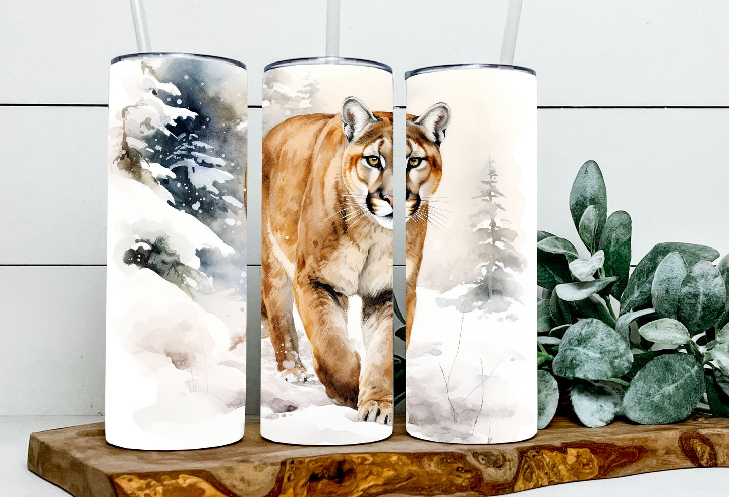 Patina the Puma