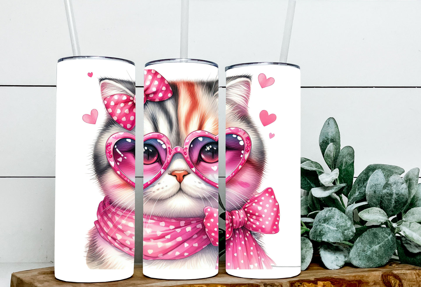 Valentine Cats