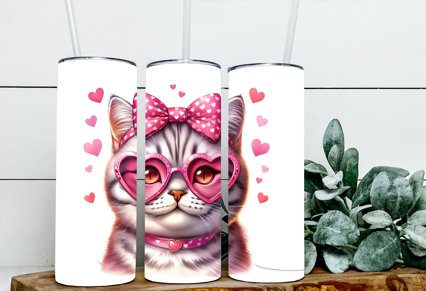 Valentine Cats