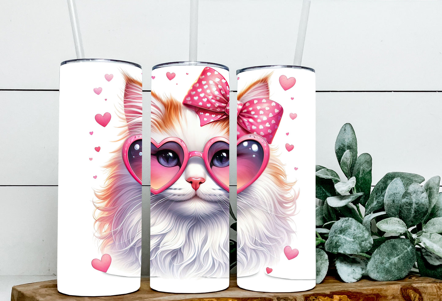 Valentine Cats