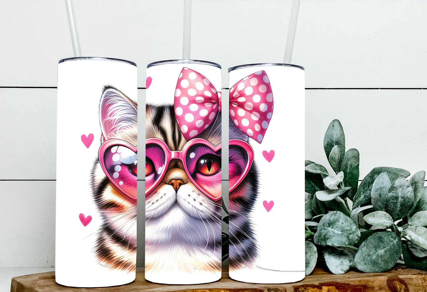 Valentine Cats